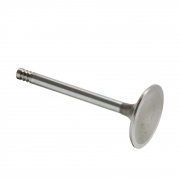 Exhaust Valve 38mm