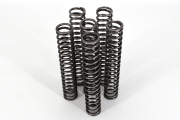 TracTive Fork Cartridge Spring Kit / S1000RR '20-On
