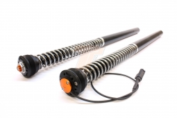 TracTive eX-CELLENT Fork Cartridge Kit | S1000R '14-'20
