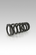Yacugar Progressive Spring for OEM Shock / G310GS